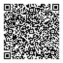 QR код "Лион"