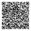 QR код "Алсу"