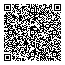 QR код "Домино"