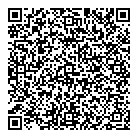 QR код "Домино"