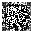 QR код "Спутник"