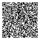 QR код "Домино"
