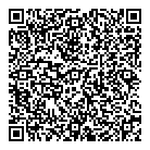 QR код "Domino"