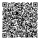 QR код "Земля"