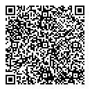 QR код "Сова"