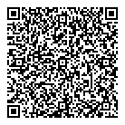 QR код "Домино"