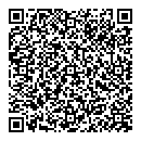 QR код "Арсенал"