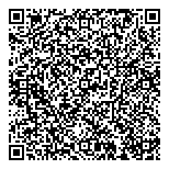 QR код "Альфа-стратегия"
