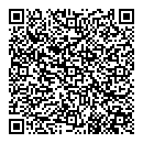 QR код "Алиса"