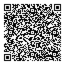 QR код "Bizzarro"