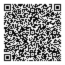 QR код "Nefertiti"