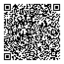 QR код "НоГГи"