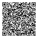 QR код "Пингвин"
