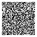QR код "Метеорит"