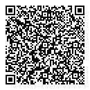 QR код "Рекорд"