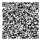 QR код "Профессионал"
