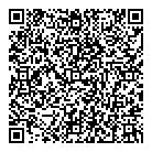 QR код "Мега Мир"