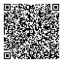 QR код "Мир"