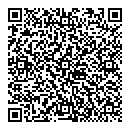 QR код "АФГ Аудор"