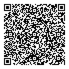 QR код "DNS"