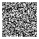 QR код "Euro Plat"