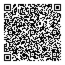 QR код "da Vinci"