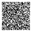 QR код "da Vinci"