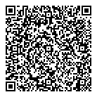 QR код "da Vinci"