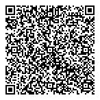 QR код "Арлекин"