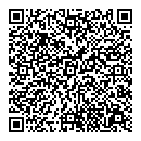 QR код "Мадонна"