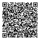 QR код "Сателлит"