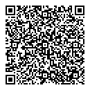 QR код "Игрушка"