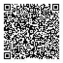 QR код "Домино"