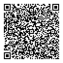 QR код "Викинг"