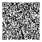 QR код "Звёздный"