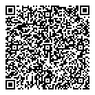 QR код "Нефертити"