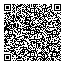 QR код "Adult City"