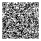 QR код "LazerSV"