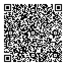 QR код "3 копейки"