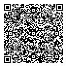 QR код "3 копейки"