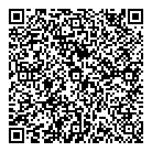 QR код "Санте"