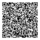 QR код "220 Volt"