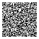 QR код "Danim-style"