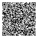 QR код "Камуфляж"