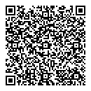 QR код "Снегопад"