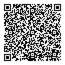 QR код "Глобус"