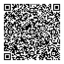 QR код "Шар"
