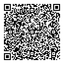 QR код "Барс"