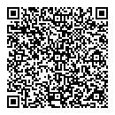 QR код "Little Star"