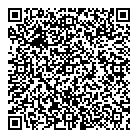 QR код "Глобус"
